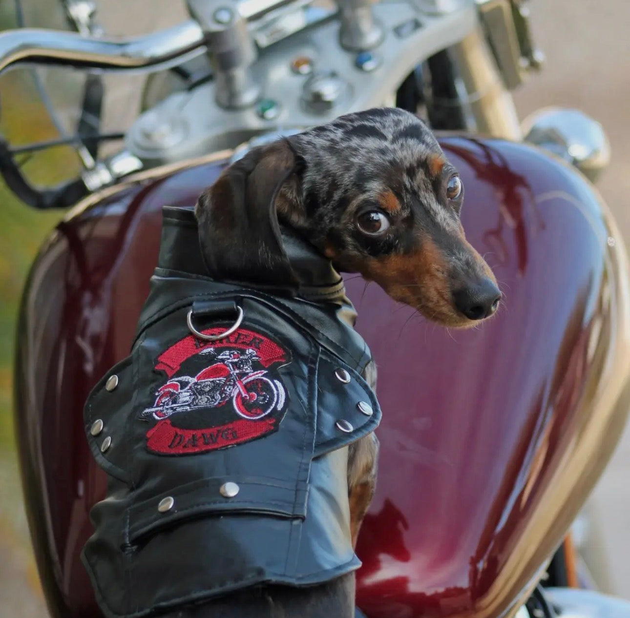 “Biker Dawg” Motorcycle Dog Jacket