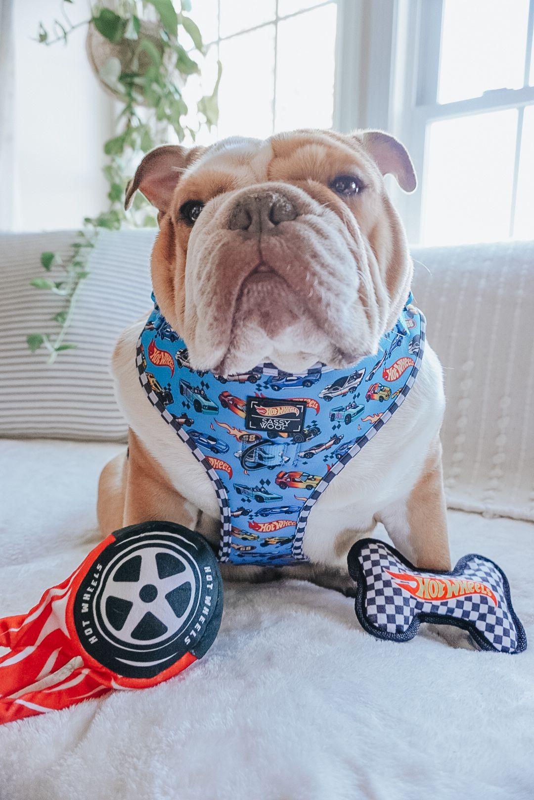 Sassy Woof x Hot Wheels - Dog Toy