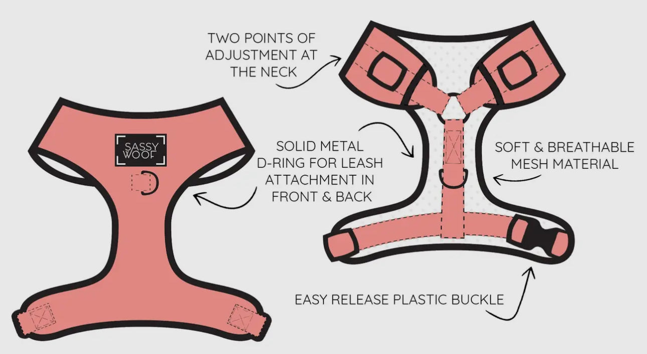 Sassy Woof x Malibu Barbie Harness