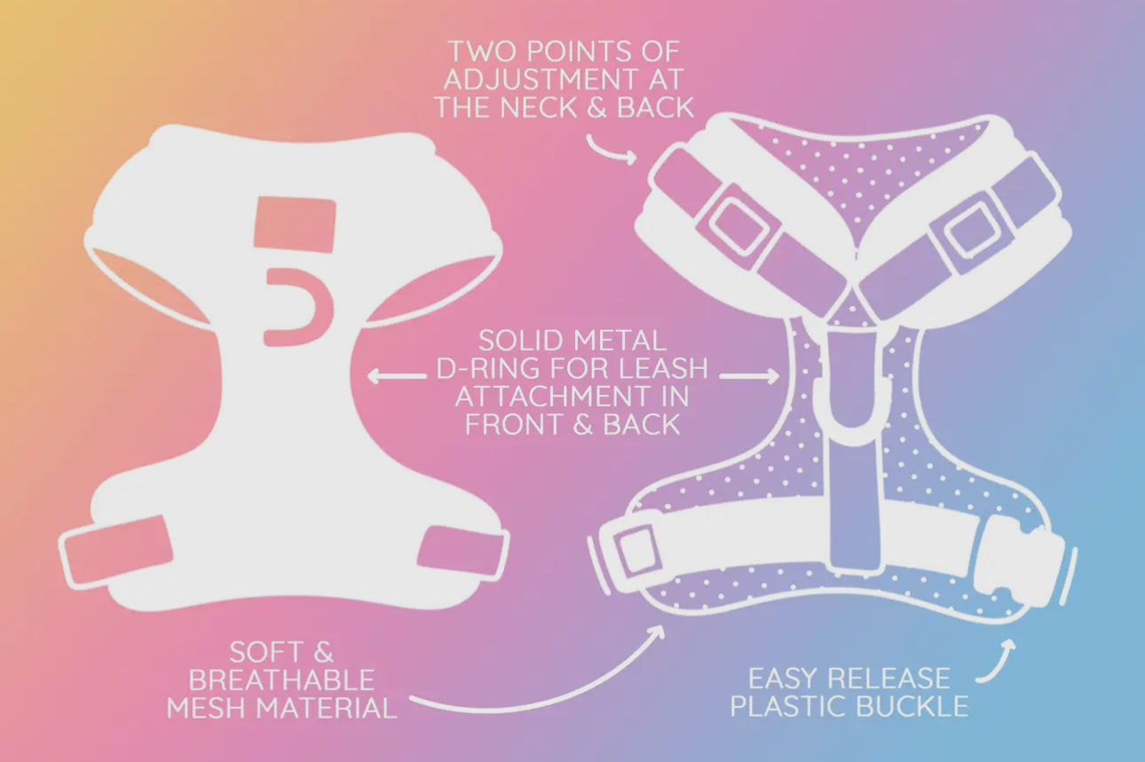 Sassy Woof Magnolia Adjustable Harness