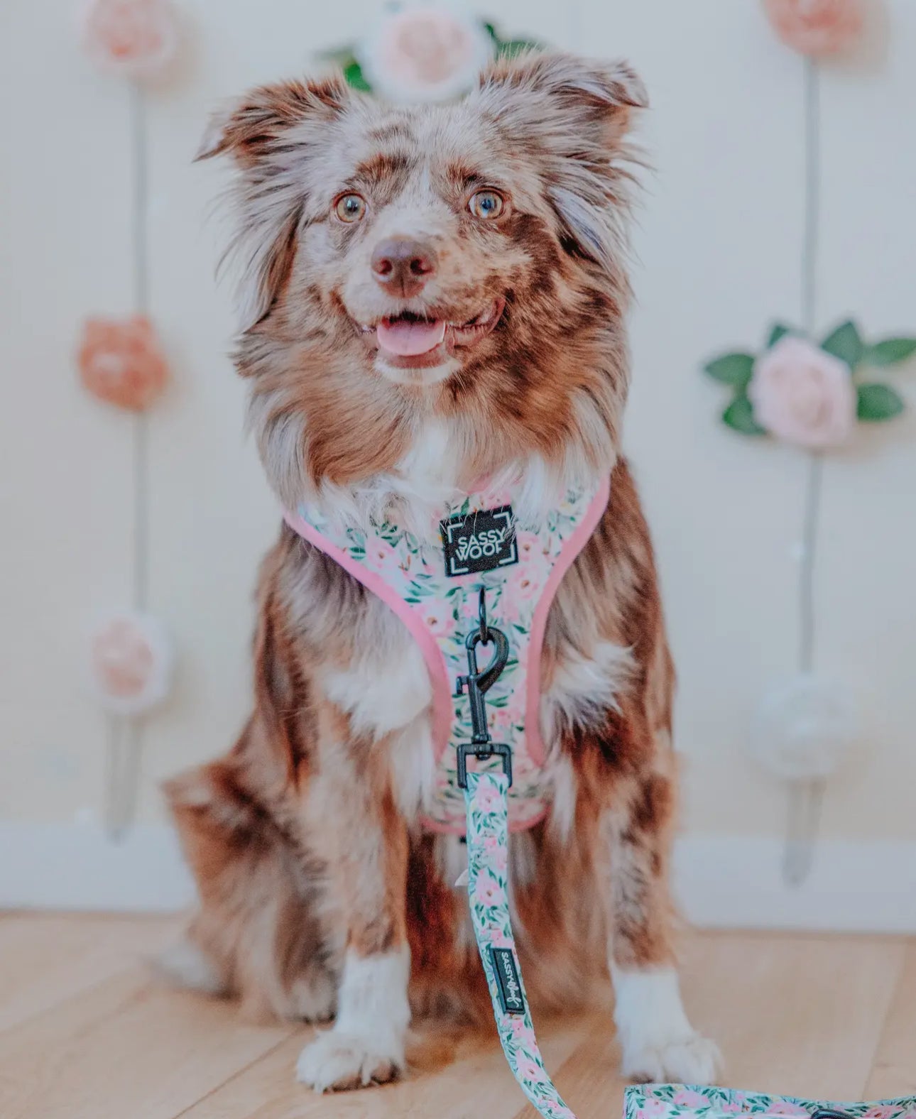 Sassy Woof Magnolia Leash