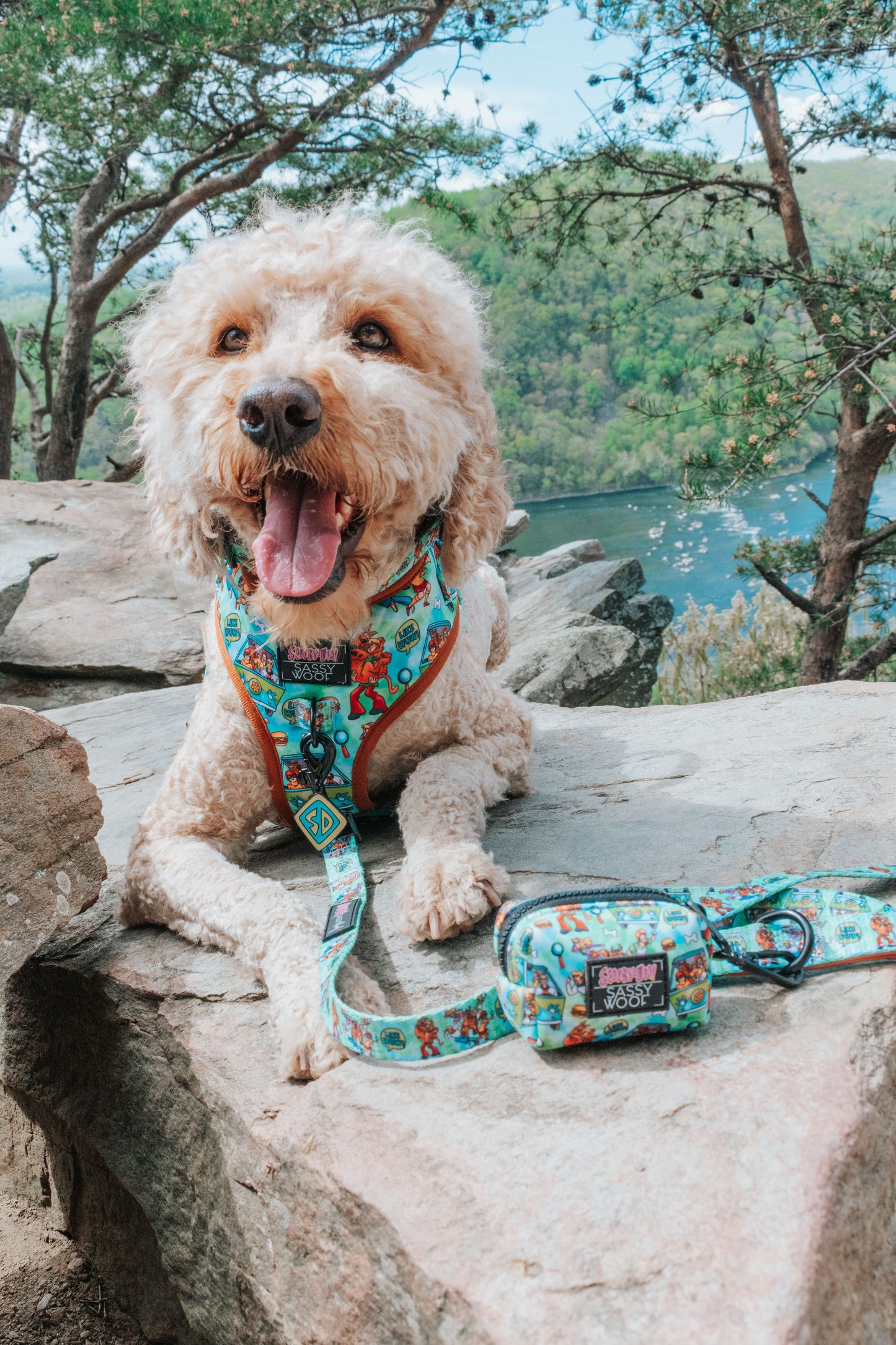 Sassy Woof Scooby Doo™️ Harness