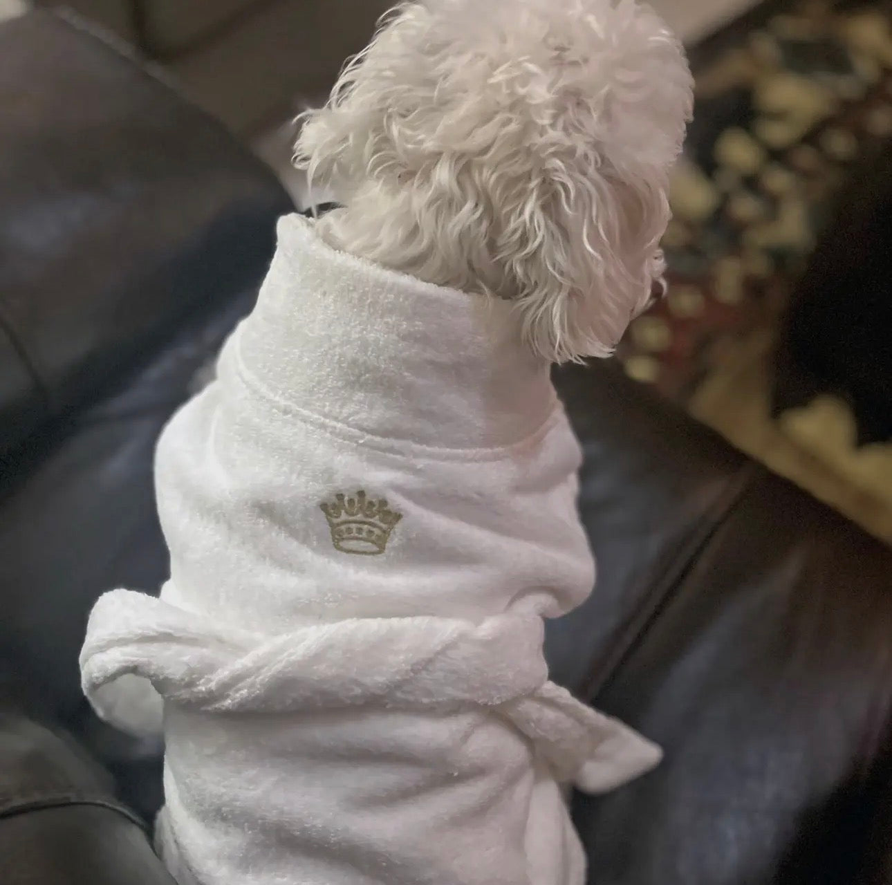 “Spaw Day” Dog Embroidered Bath Robe