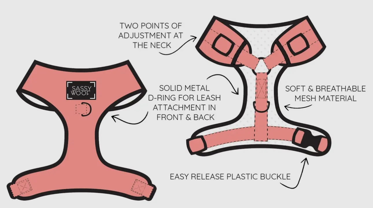 Sassy Woof x CatDog™ Harness
