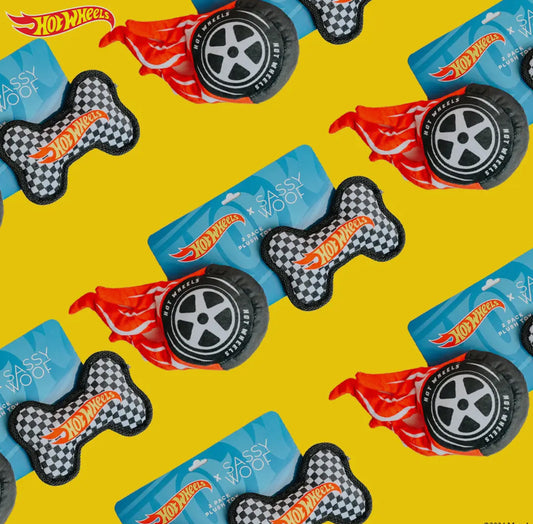 Sassy Woof x Hot Wheels - Dog Toy