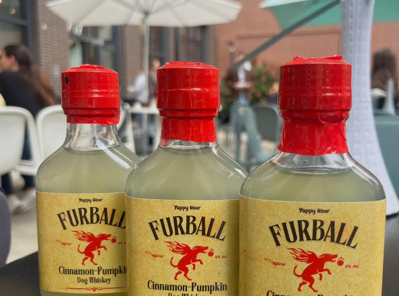Furball Dog Whiskey Minis - Pumpkin + Cinnamon