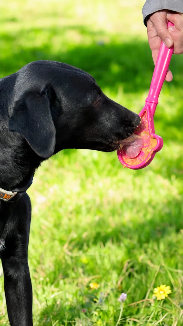Sodapup Dog Toys Lick Stick (Choose Option)