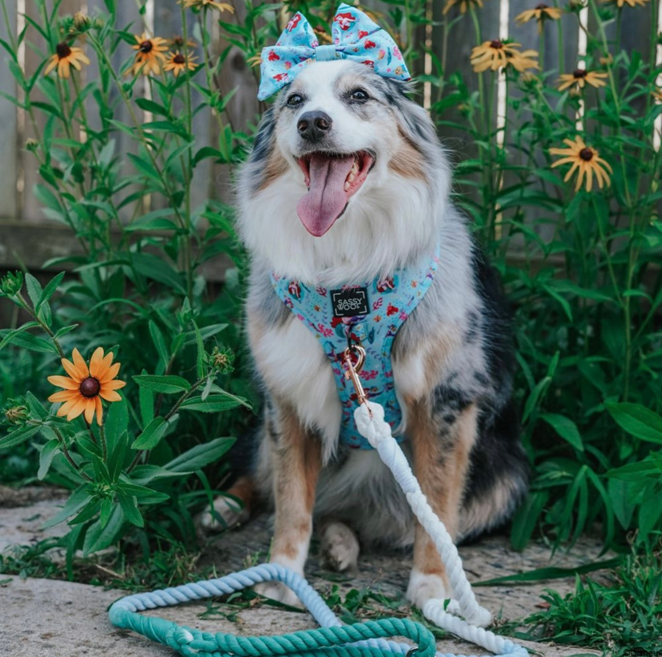 Sassy Woof Disney’s Ariel Harness