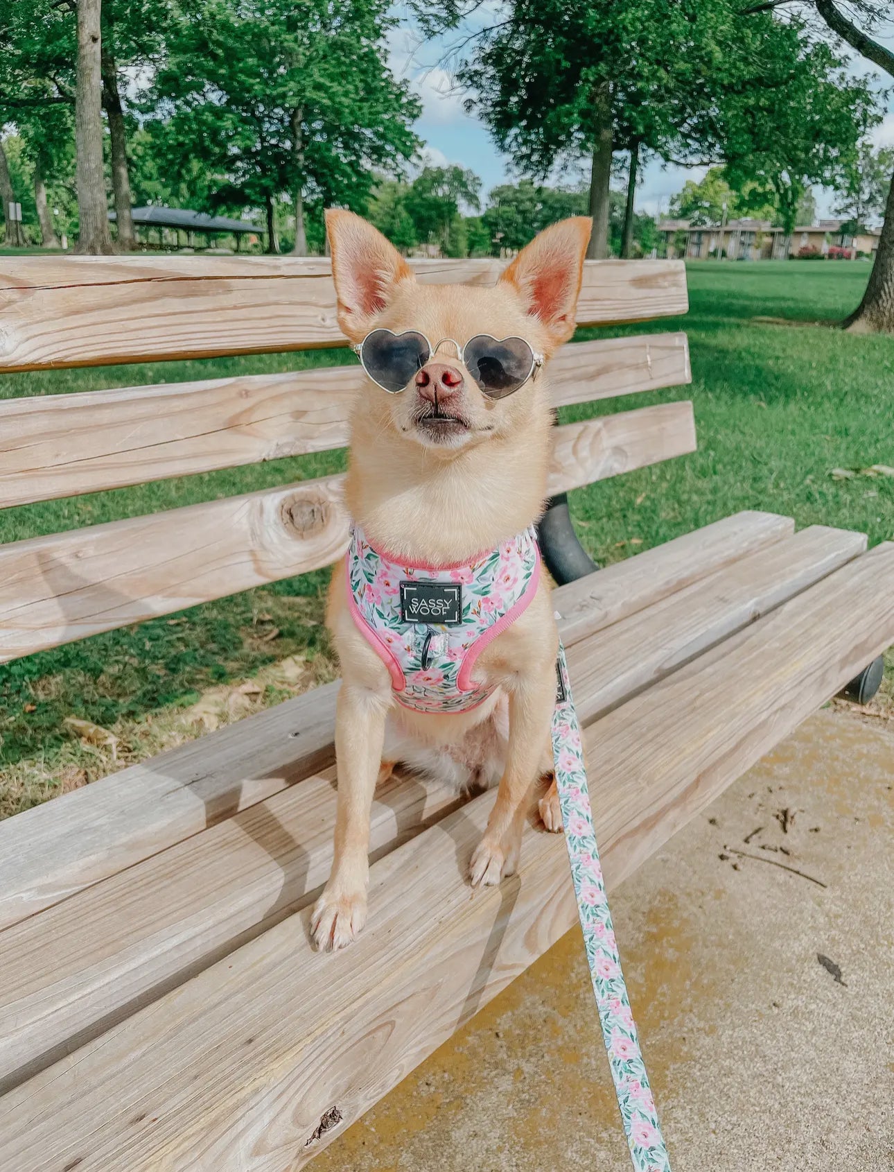 Sassy Woof Magnolia Leash