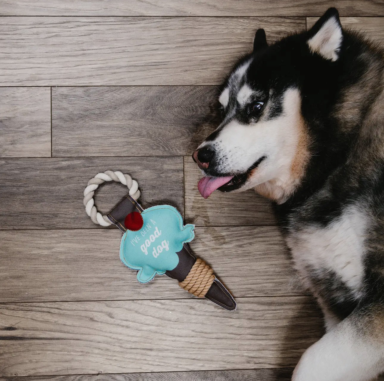 Ice Cream Rope Toy