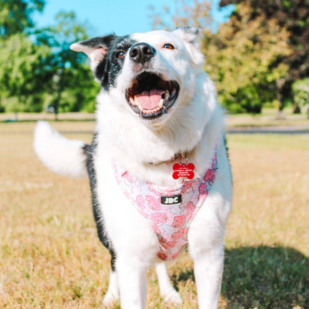 Pink Animal Cracker Adjustable Harness, Leash, Bandana and Scrunchie Bundle
