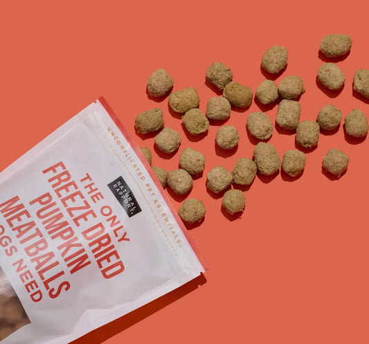 Natural Rapport Freeze Dried Pumpkin Meatballs Treats