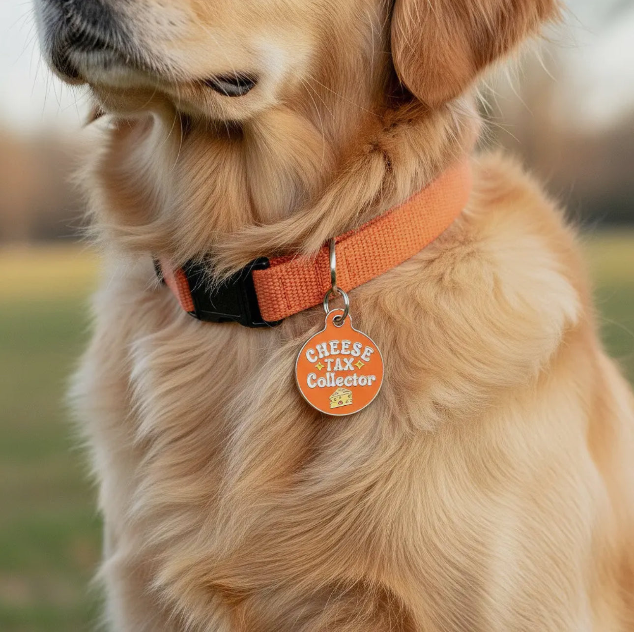 Collar ID Tag (Engraved QR Code)