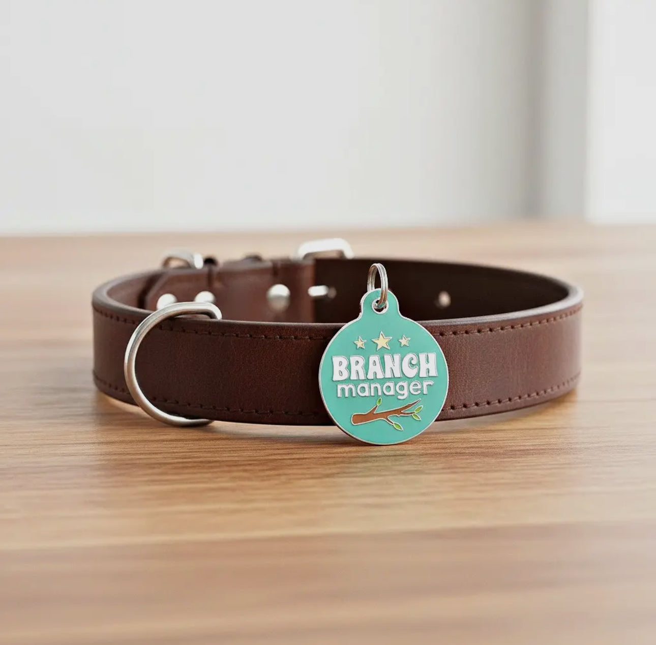 Collar ID Tag (Engraved QR Code)