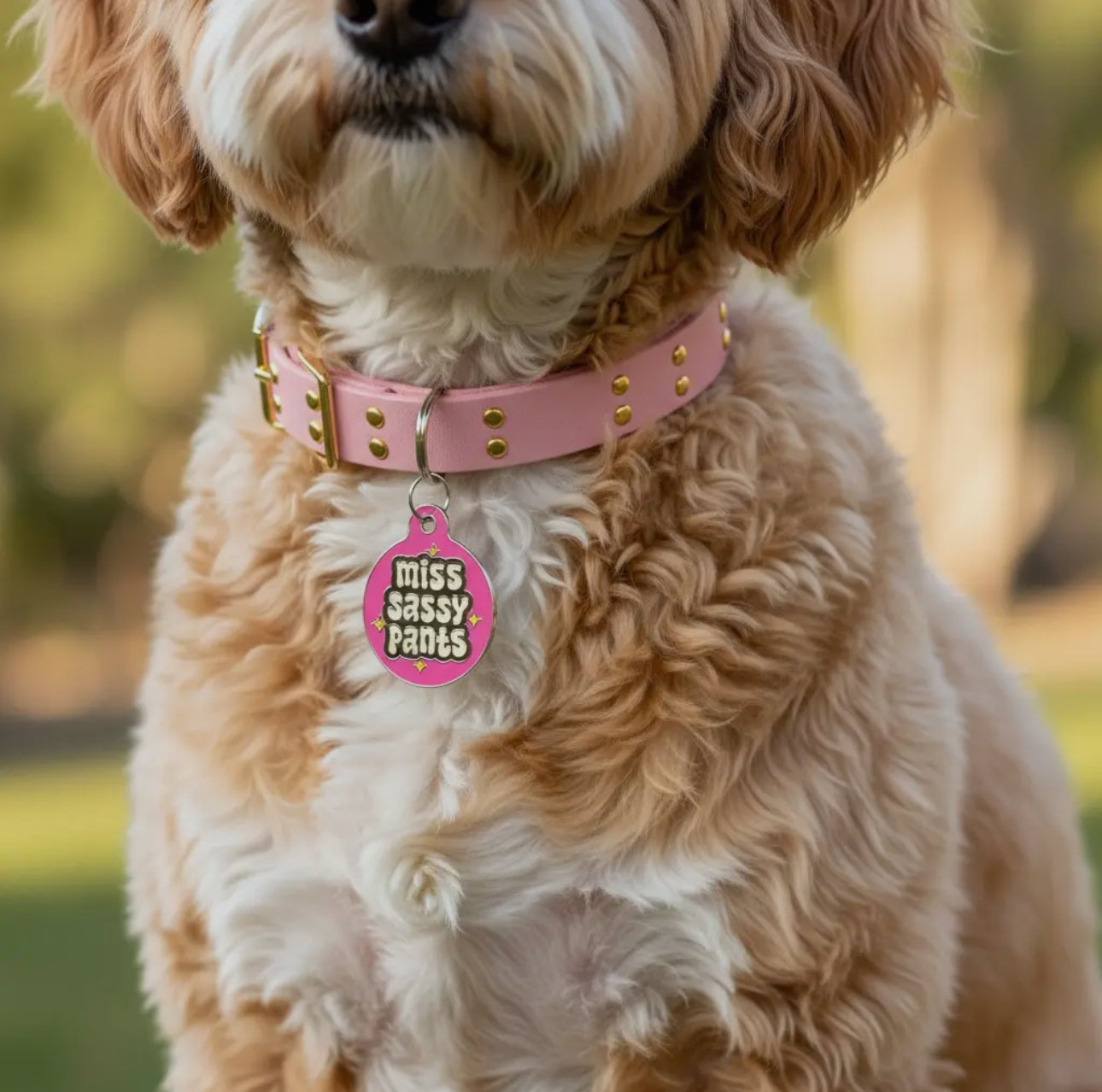 Collar ID Tag (Engraved QR Code)