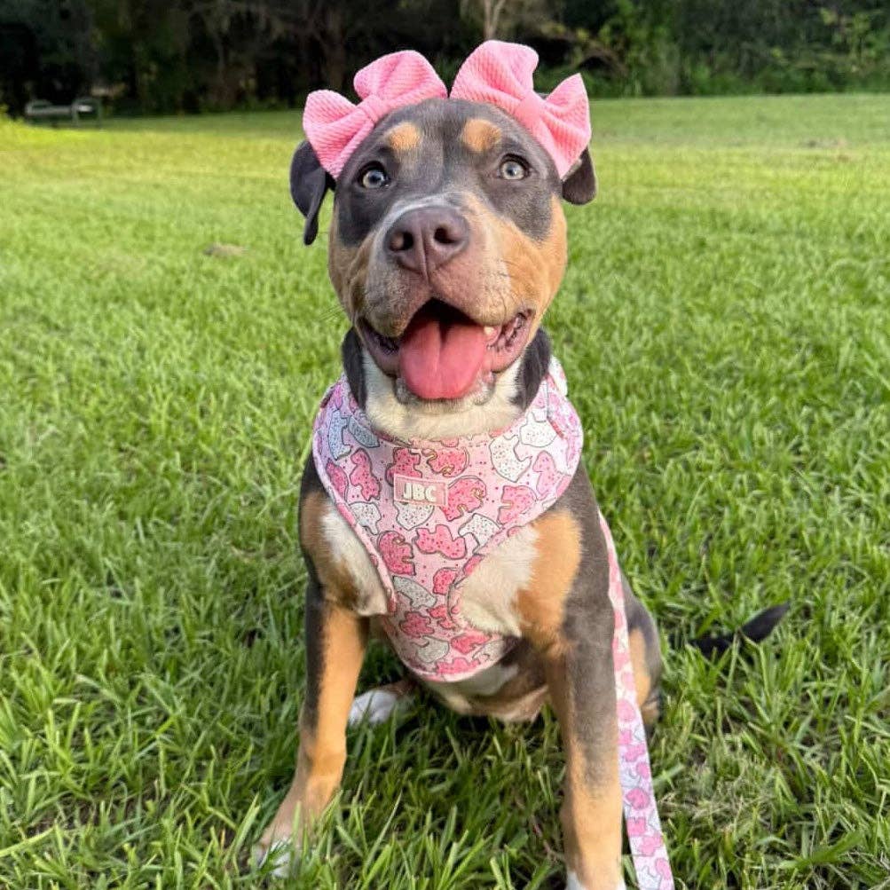 Pink Animal Cracker Adjustable Harness, Leash, Bandana and Scrunchie Bundle