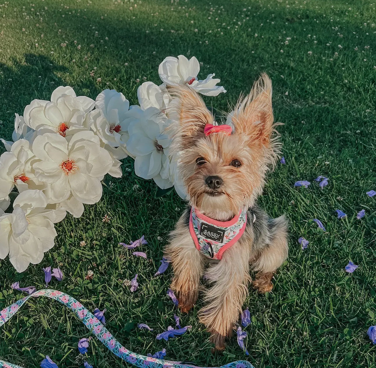 Sassy Woof Magnolia Leash
