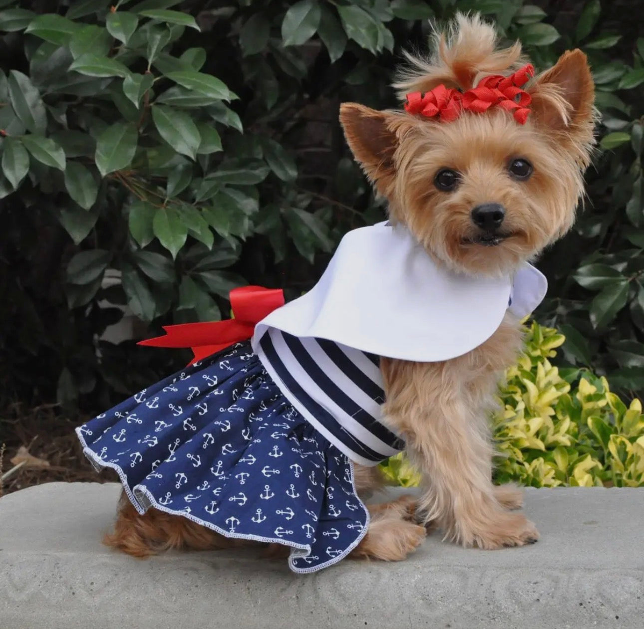 Nautical Dress with Matching Leash