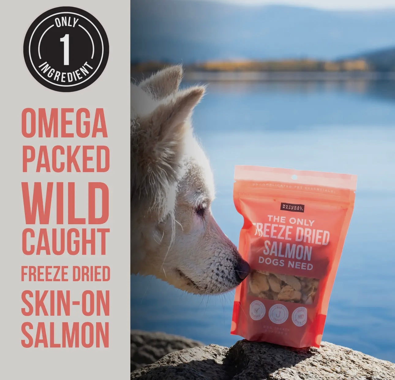Natural Rapport Freeze Dried Salmon Treats