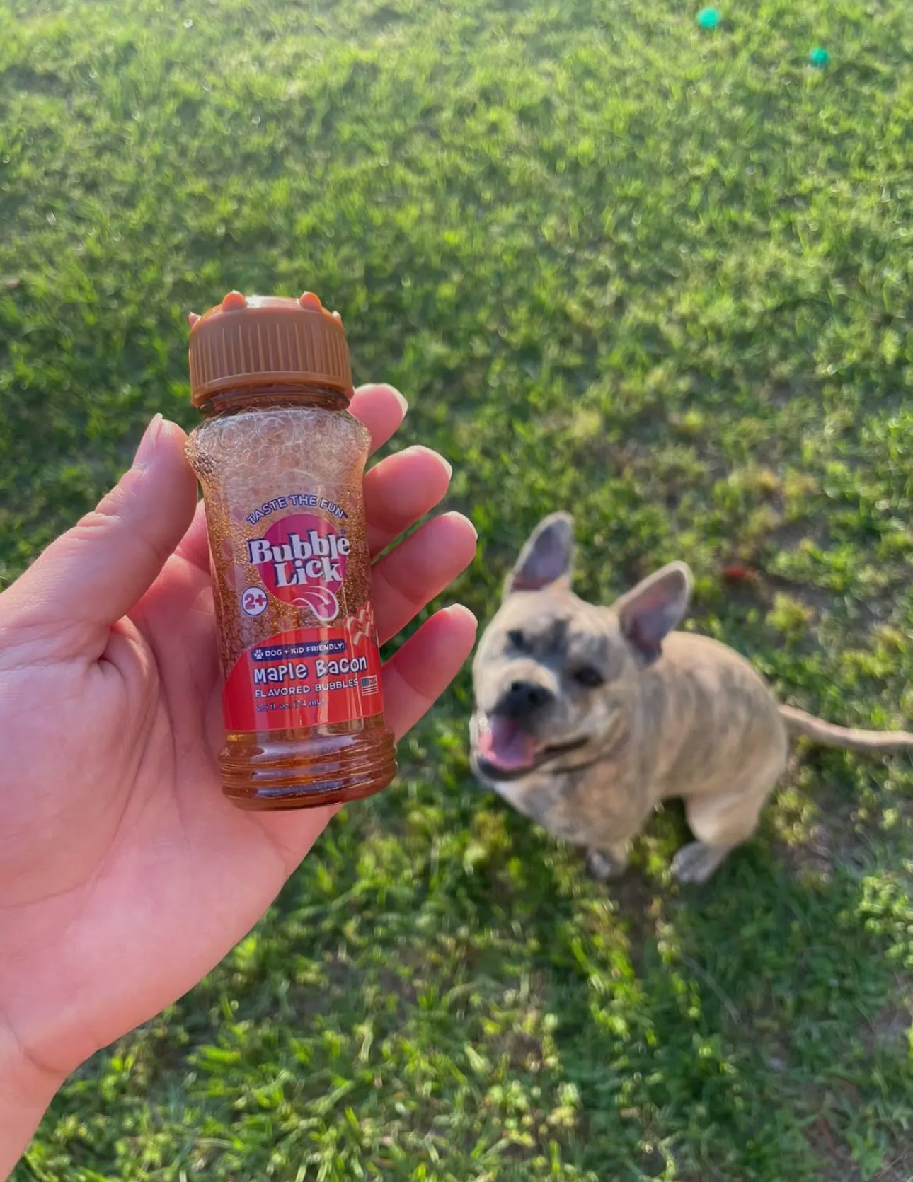 Bubblelick™️ Bacon Flavored Pet-Safe Bubbles