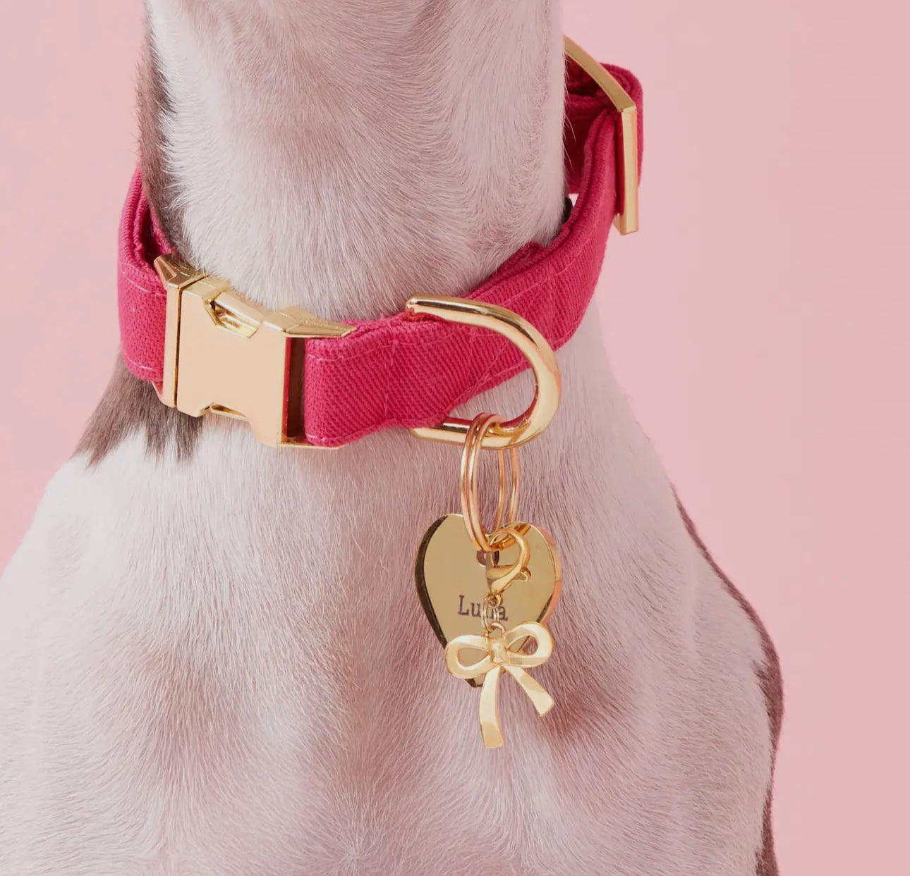 The Foggy Dog Bow Collar Charm