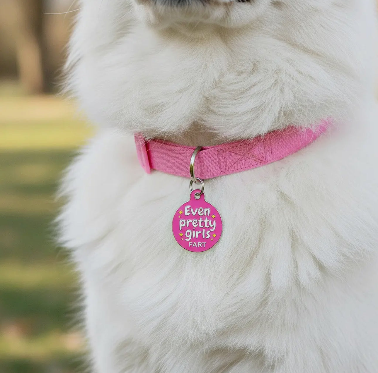 Collar ID Tag (Engraved QR Code)
