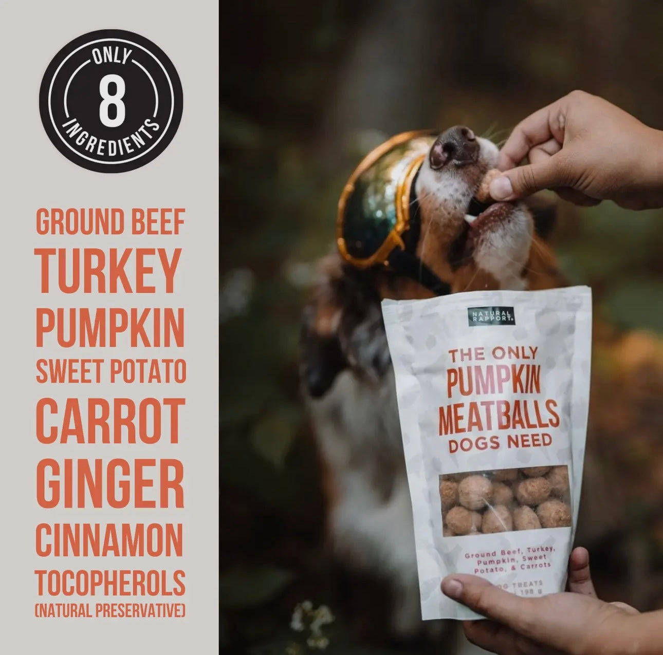 Natural Rapport Freeze Dried Pumpkin Meatballs Treats