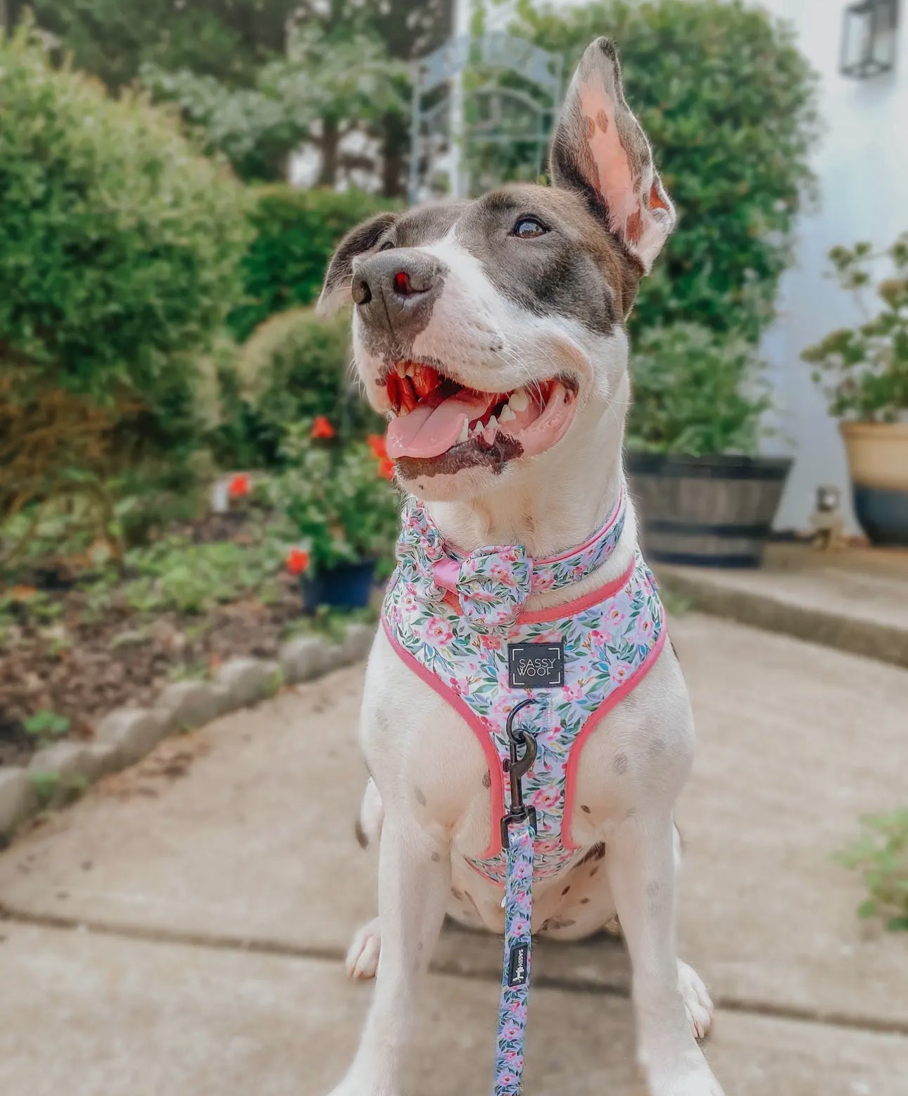 Sassy Woof Magnolia Leash