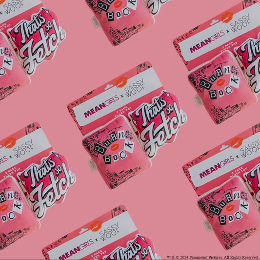 Sassy Woof x Mean Girls - Dog Toy