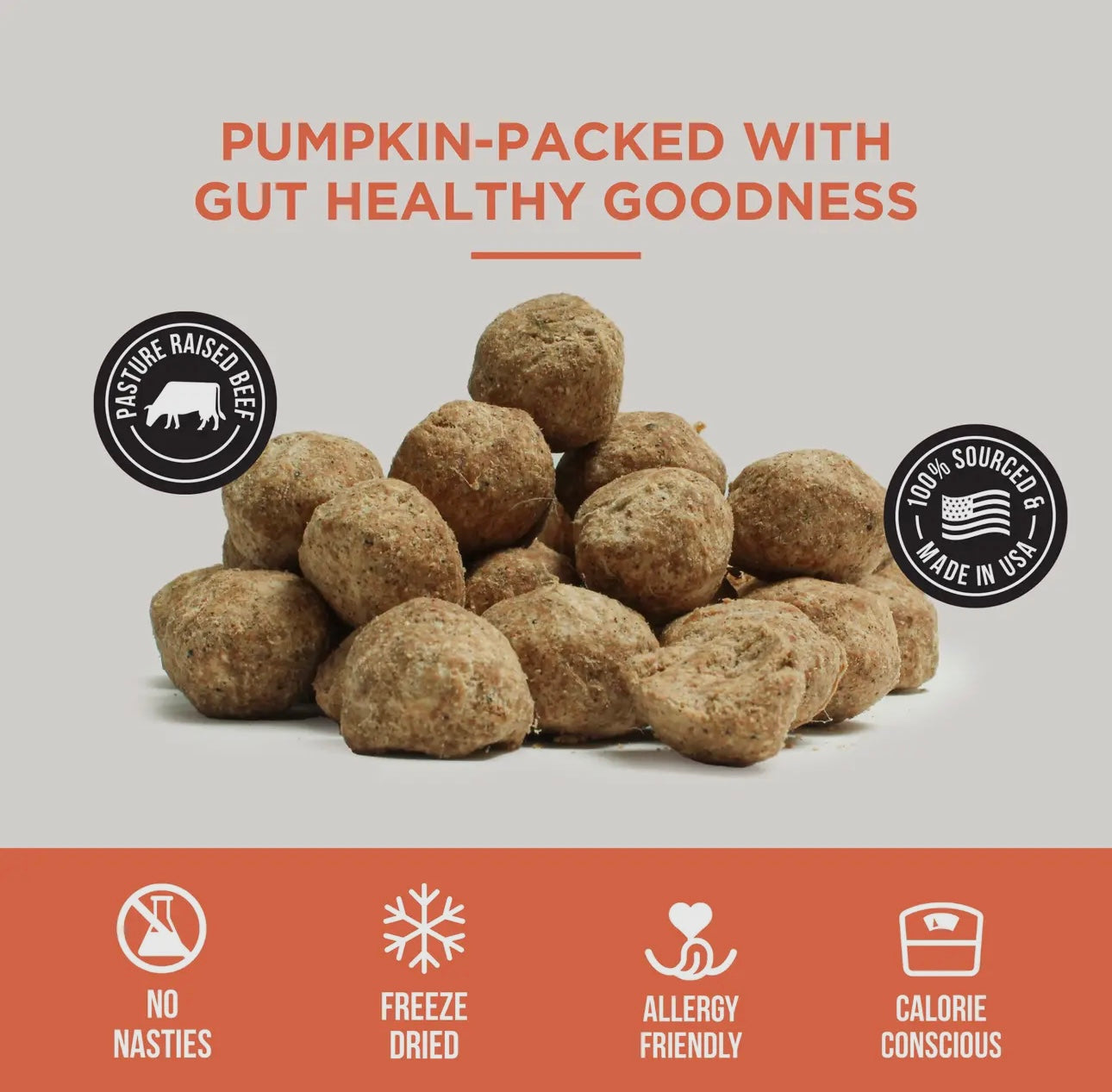 Natural Rapport Freeze Dried Pumpkin Meatballs Treats