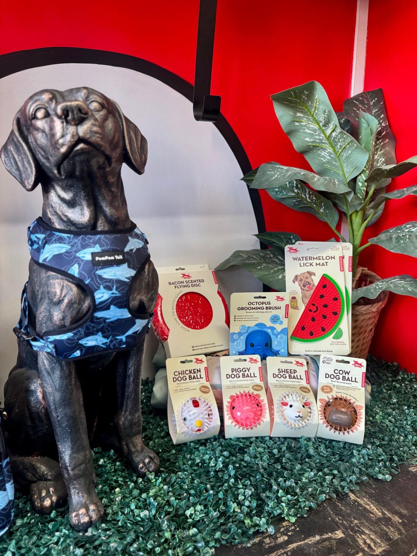 Flavored Dog Balls