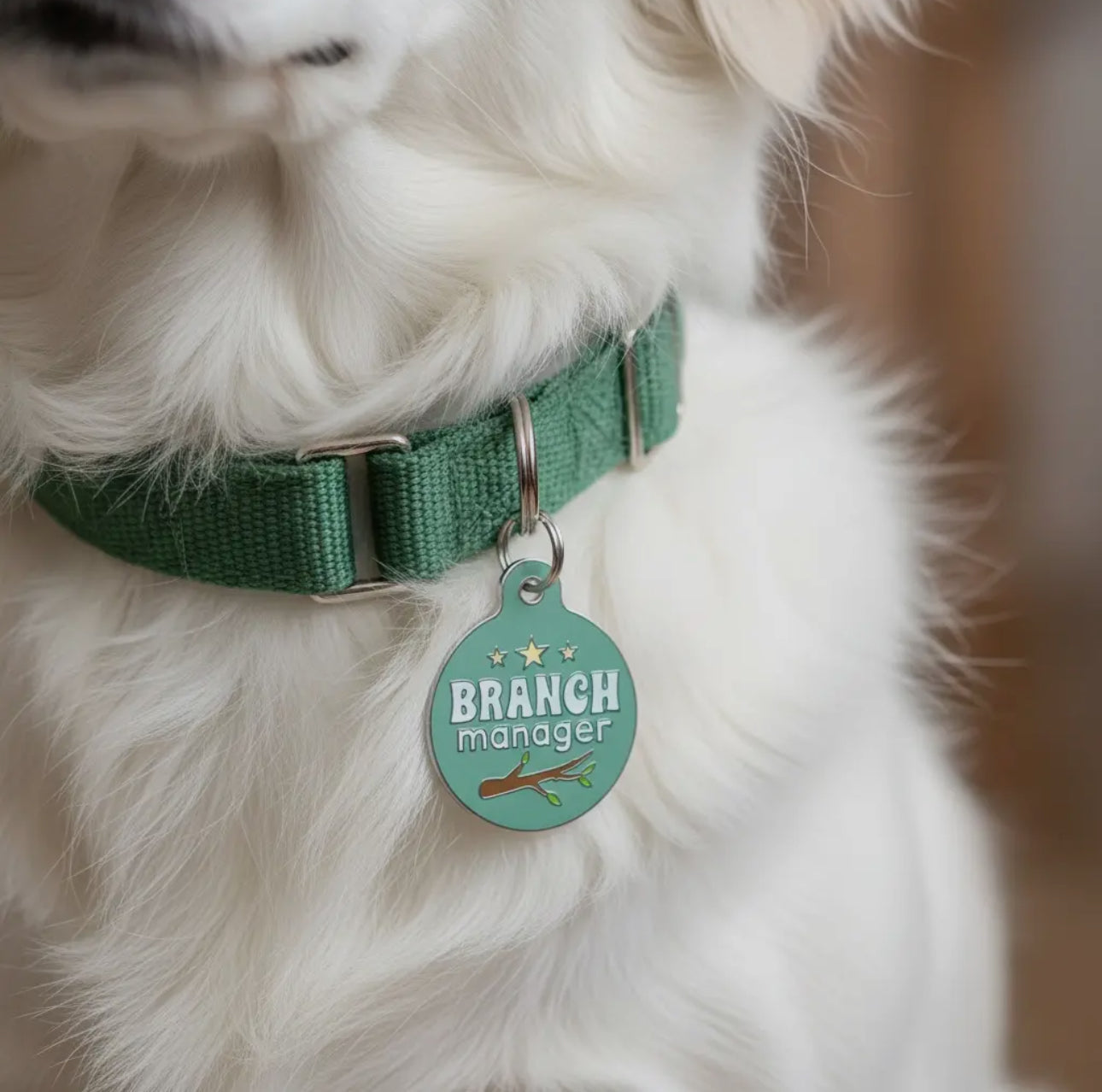 Collar ID Tag (Engraved QR Code)