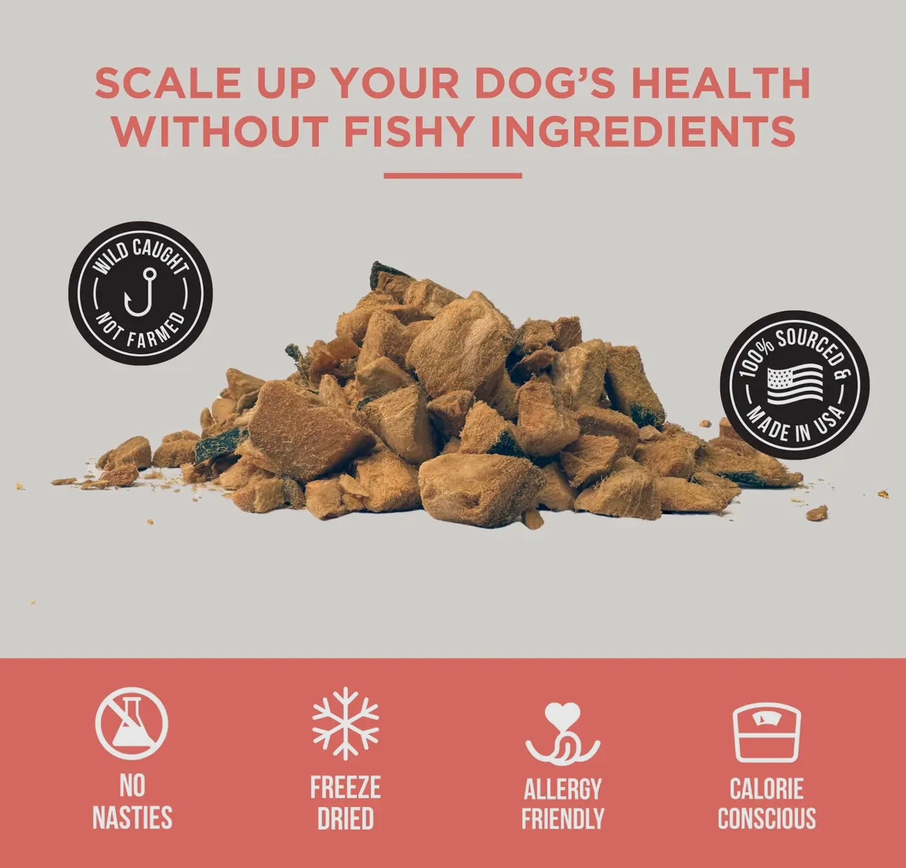 Natural Rapport Freeze Dried Salmon Treats