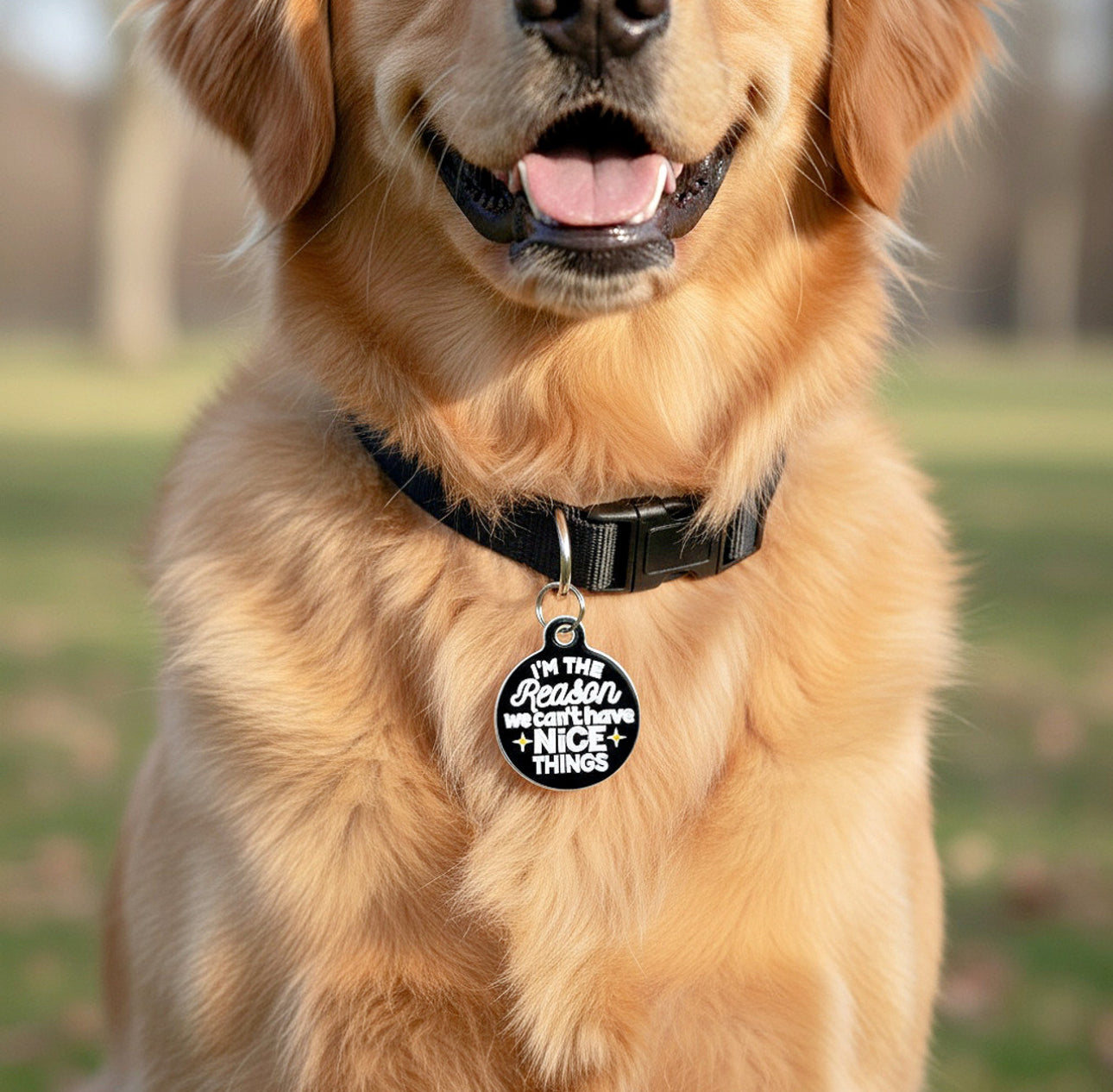 Collar ID Tag (Engraved QR Code)