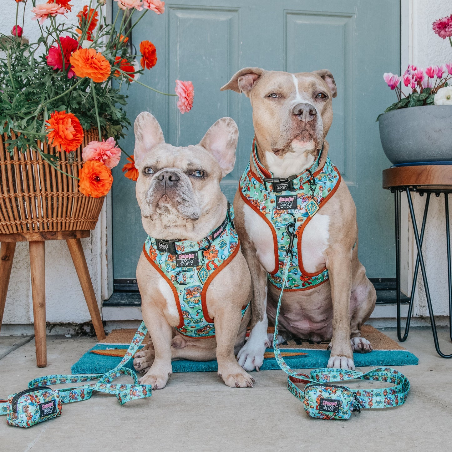 Sassy Woof Scooby Doo™️ Harness