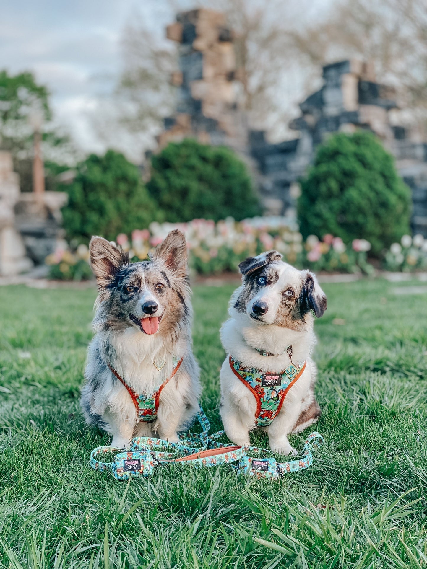 Sassy Woof Scooby Doo™️ Harness