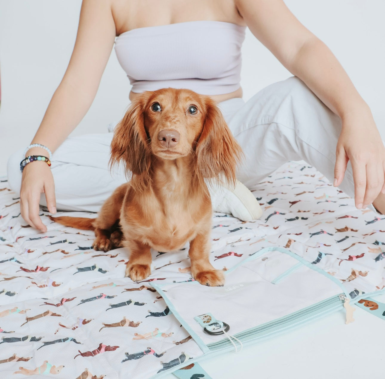 ‘Dainty Dachshunds’ Dog Picnic Blanket