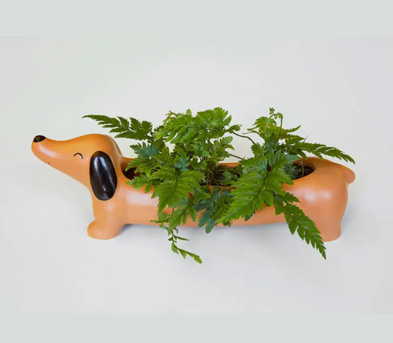 Daisy the Dachshund Planter