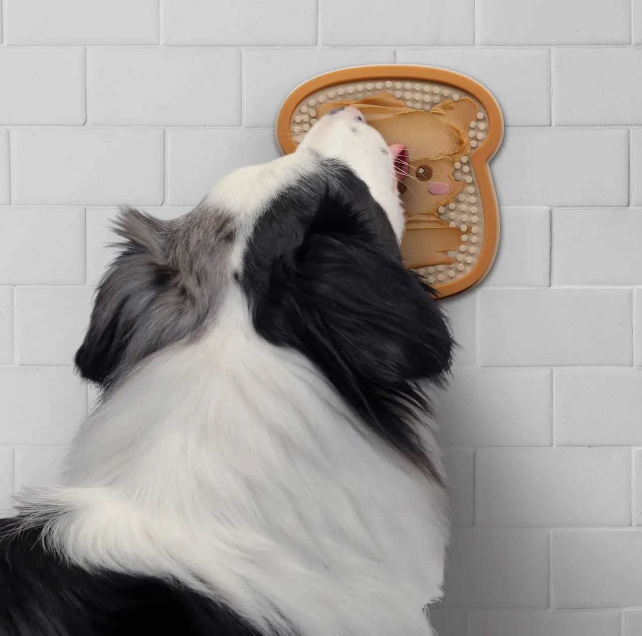 Toast Lick Mat