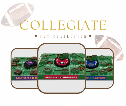 Collegiate Puzzle Toy (Choose Your Team / PRE-ORDERS ONLY)
