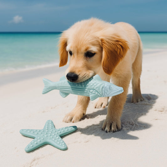 Clean Earth Dog Toy Collection