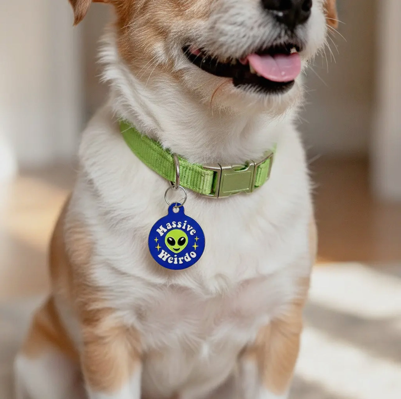 Collar ID Tag (Engraved QR Code)