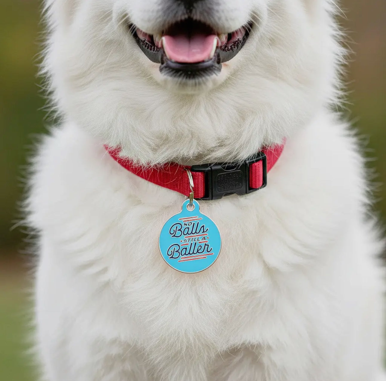 Collar ID Tag (Engraved QR Code)