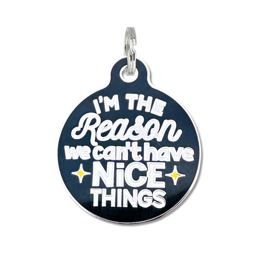 Collar ID Tag (Engraved QR Code)