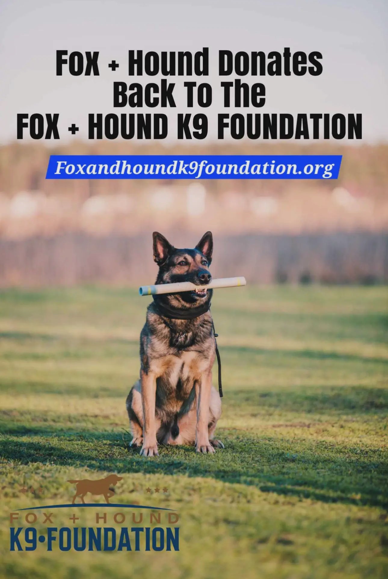 Fox + Hound Pet Natural Laundry Detergent