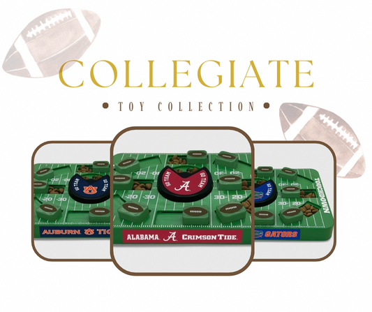 Collegiate Puzzle Toys (Choose Your Team / IN STOCK ONLY)