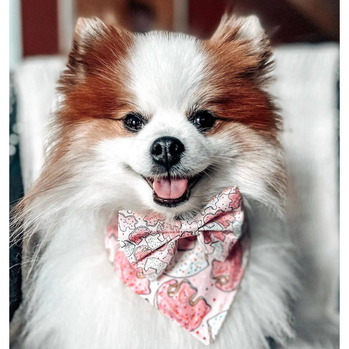 Pink Animal Cracker Adjustable Harness, Leash, Bandana and Scrunchie Bundle